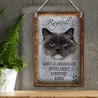 Blechschild Spruch 20x30cm Ragdoll Katze sanft