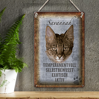 Blechschild Spruch 20x30cm Savannah Katze exotisch