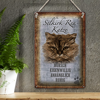 Blechschild Spruch 20x30cm Selkirk Rex Katze ruhig