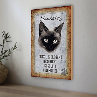 Holzschild Spruch 20x30cm Siamkatze Katze grazil