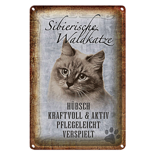 Blechschild Spruch 20x30cm sibirische Waldkatze Katze
