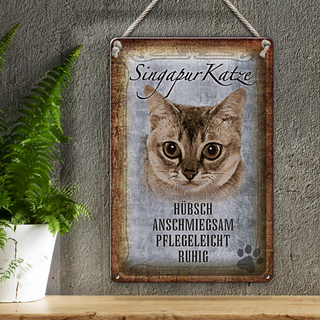 Blechschild Spruch 20x30cm Singapur Katze