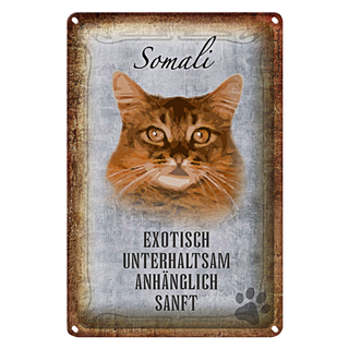 Blechschild Spruch 20x30cm Somali Katze Wanddeko