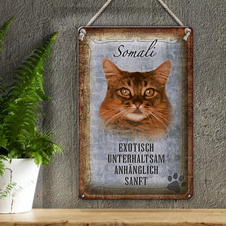 Blechschild Spruch 20x30cm Somali Katze Wanddeko