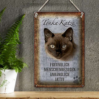 Blechschild Spruch 20x30cm Tonka Katze Wanddeko