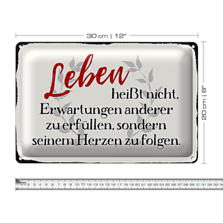Blechschild Spruch 30x20cm Leben Erwartungen Herz