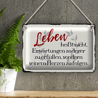 Blechschild Spruch 30x20cm Leben Erwartungen Herz