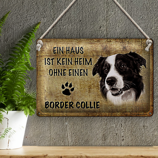 Blechschild Border Collie 30x20cm Haus ist kein Heim ohne