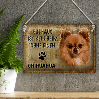 Blechschild Chihuahua 30x20cm Haus ist kein Heim ohne