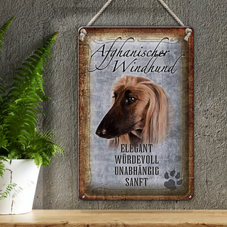 Blechschild Spruch 20x30cm Afghanischer Windhund Hund