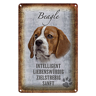 Blechschild Spruch 20x30cm Beagle Hund