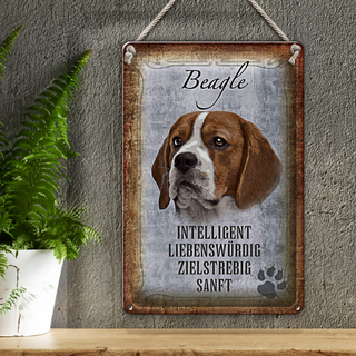 Blechschild Spruch 20x30cm Beagle Hund