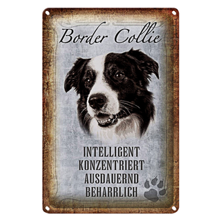 Blechschild Spruch 20x30cm Border Collie Hund