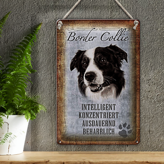 Blechschild Spruch 20x30cm Border Collie Hund