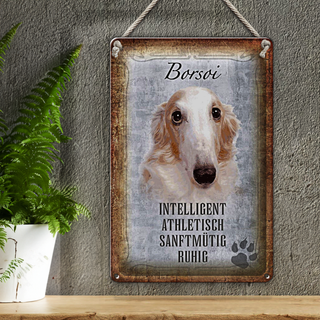 Blechschild Spruch 20x30cm Borsoi Hund athletisch