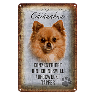 Blechschild Spruch 20x30cm Chihuahua Hund tapfer