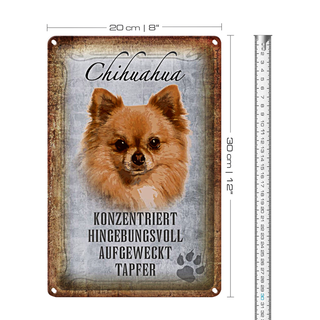 Blechschild Spruch 20x30cm Chihuahua Hund tapfer