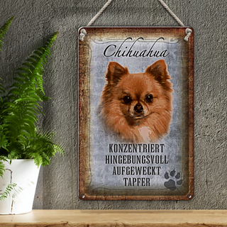 Blechschild Spruch 20x30cm Chihuahua Hund tapfer
