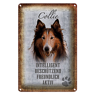 Blechschild Spruch 20x30cm Collie Hund freundlich