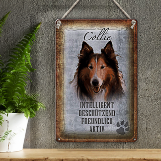 Blechschild Spruch 20x30cm Collie Hund freundlich