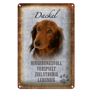 Blechschild Spruch 20x30cm Dackel Hund lebendig