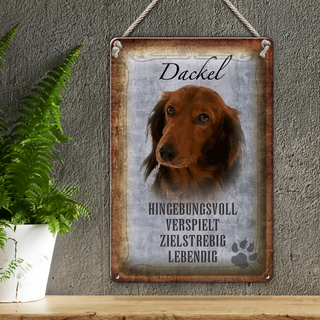 Blechschild Spruch 20x30cm Dackel Hund lebendig
