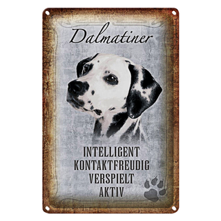 Blechschild Spruch 20x30cm Dalmatiner Hund