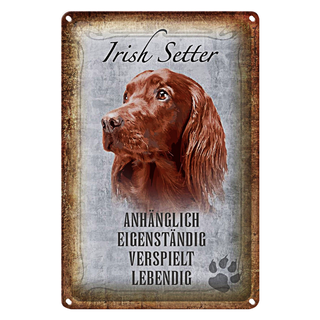 Blechschild Spruch 20x30cm Irish Setter Hund