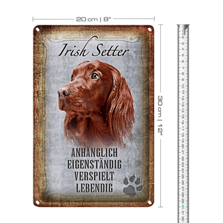 Blechschild Spruch 20x30cm Irish Setter Hund