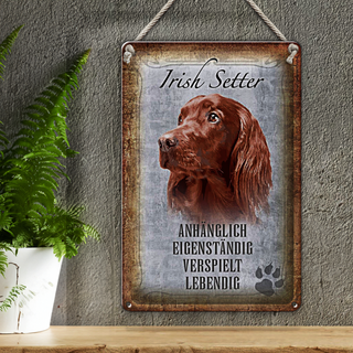 Blechschild Spruch 20x30cm Irish Setter Hund