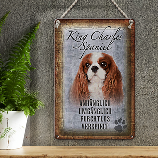 Blechschild Spruch 20x30cm King Charles Spaniel Hund
