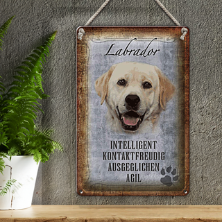 Blechschild Spruch 20x30cm Labrador Hund