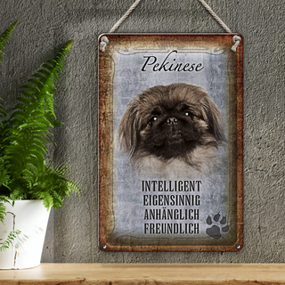Blechschild Spruch 20x30cm Pekinese Hund