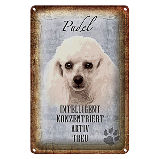Blechschild Spruch 20x30cm Pudel Hund aktiv