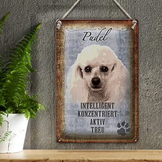 Blechschild Spruch 20x30cm Pudel Hund aktiv
