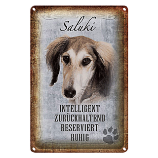 Blechschild Spruch 20x30cm Saluki Hund ruhig