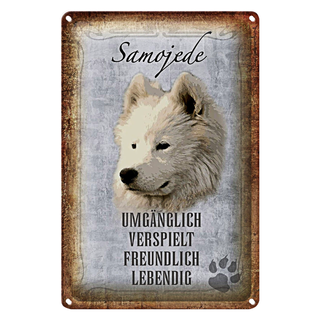 Blechschild Spruch 20x30cm Samojede Hund