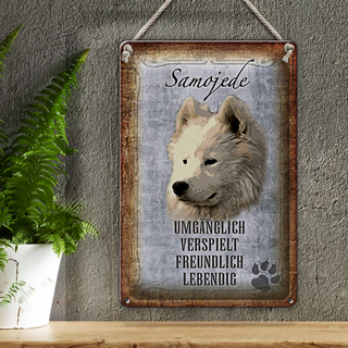 Blechschild Spruch 20x30cm Samojede Hund