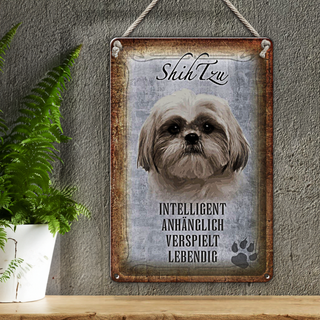 Blechschild Spruch 20x30cm Shih Tzu Hund