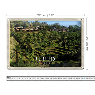 Blechschild Reise 30x20cm Ubud Bali Tegalalang Reisterrassen