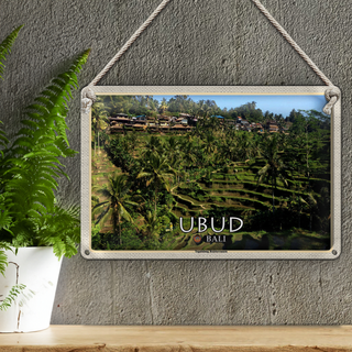 Blechschild Reise 30x20cm Ubud Bali Tegalalang Reisterrassen