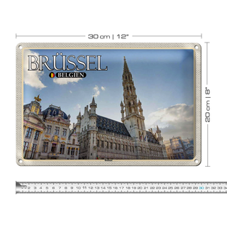 Blechschild Reise 30x20cm Brüssel Belgien Rathaus Wolken