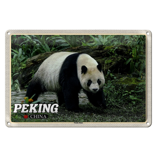 Blechschild Reise 30x20cm Peking China Panda Haus