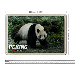 Blechschild Reise 30x20cm Peking China Panda Haus