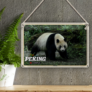 Blechschild Reise 30x20cm Peking China Panda Haus