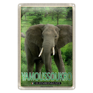 Blechschild Reise 20x30cm Yamoussoukro Elfenbeinküste Nationalpark
