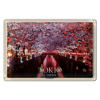 Blechschild Reise 30x20cm Tokio Japan Kirschblütenfest Bäume Fluss