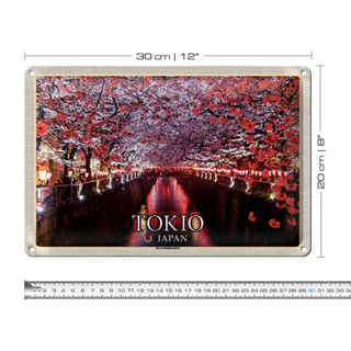 Blechschild Reise 30x20cm Tokio Japan Kirschblütenfest Bäume Fluss