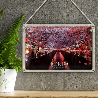 Blechschild Reise 30x20cm Tokio Japan Kirschblütenfest Bäume Fluss