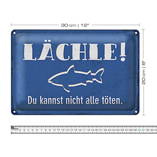 Blechschild Spruch 30x20cm lächle Du kannst nicht alle